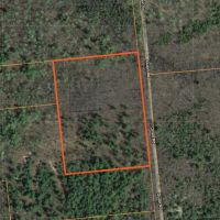 13 acres Hunting Land Bombay NY images 4