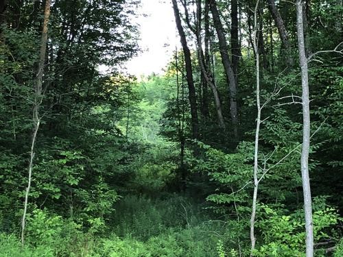 30 acres Hunting Lisle NY 180 Butterfield Rd featured image