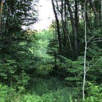 30 acres Hunting Lisle NY 180 Butterfield Rd