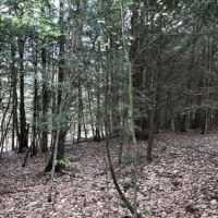 30 acres Hunting Lisle NY 180 Butterfield Rd images 4