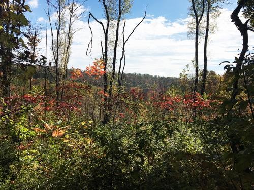 84 acres Hunting Humphrey NY Cooper Hill Road featured image