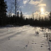 84 acres Hunting Humphrey NY Cooper Hill Road images 2