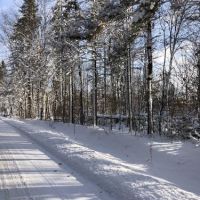 84 acres Hunting Humphrey NY Cooper Hill Road images 4