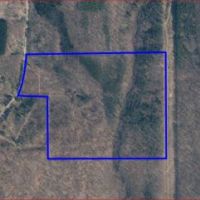 84 acres Hunting Humphrey NY Cooper Hill Road images 6