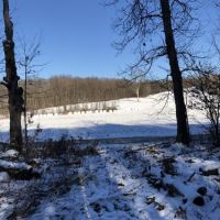 34 ac Hunting  Greene NY Buckley Hollow Road