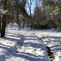 34 ac Hunting  Greene NY Buckley Hollow Road images 2
