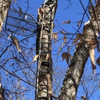 34 ac Hunting  Greene NY Buckley Hollow Road images 3
