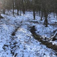 34 ac Hunting  Greene NY Buckley Hollow Road images 4