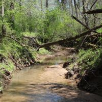 Alley Family Farm images 2