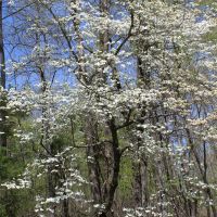 Alley Family Farm images 3