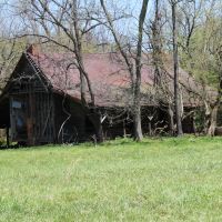 Alley Family Farm images 5