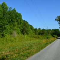 - 35 acres with Great Views of Paris Mountain - Unrestricted with public water Easley  SC images 5