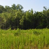 - 35 acres with Great Views of Paris Mountain - Unrestricted with public water Easley  SC images 6