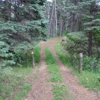 Indian Gulch Hunting Retreat images 2