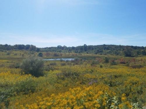 114 acs Hunting Recreational Land Pine CityNY featured image