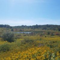 114 acs Hunting Recreational Land Pine CityNY