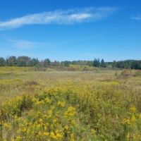 114 acs Hunting Recreational Land Pine CityNY images 3