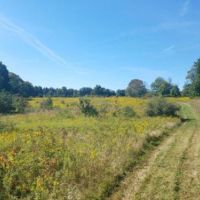 114 acs Hunting Recreational Land Pine CityNY images 2