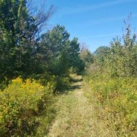 114 acs Hunting Recreational Land Pine CityNY images 4