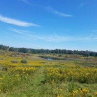 114 acs Hunting Recreational Land Pine CityNY images 6