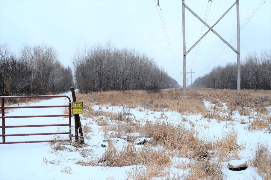 Quality Gated Hunting Property Marathon County WI featured image