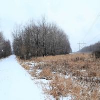 Quality Gated Hunting Property Marathon County WI images 2