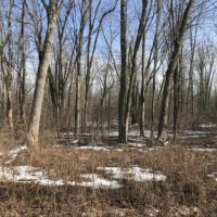 21 acres Lenox NY near Oneida Lake Beach