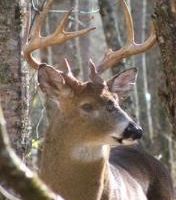 Lodge & Outfitters Located in the Beautiful Rolling Hills of Southern Indiana
