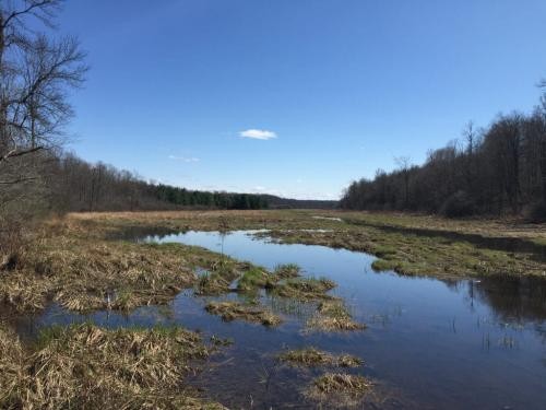 227 acres Hunting DeKalb NY State Rte 812 featured image
