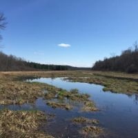227 acres Hunting DeKalb NY State Rte 812
