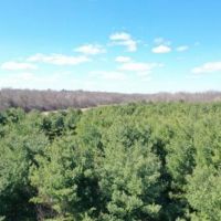 227 acres Hunting DeKalb NY State Rte 812 images 2