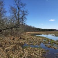 227 acres Hunting DeKalb NY State Rte 812 images 5