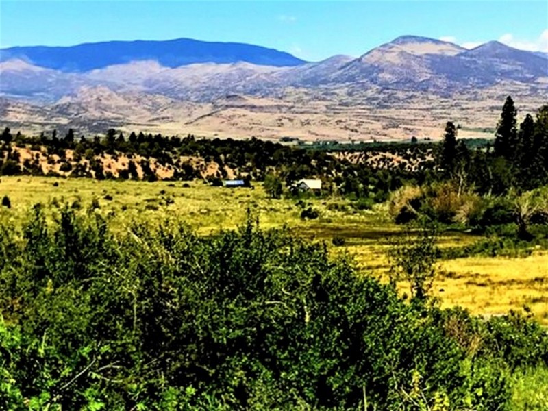 Rose Hips Ranch featured image
