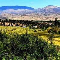 Rose Hips Ranch