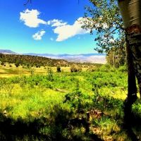 Rose Hips Ranch images 2