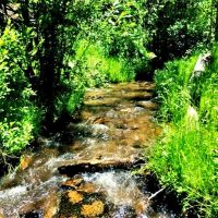 Rose Hips Ranch images 3