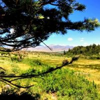 Rose Hips Ranch images 5