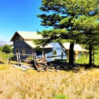 Rose Hips Ranch images 6