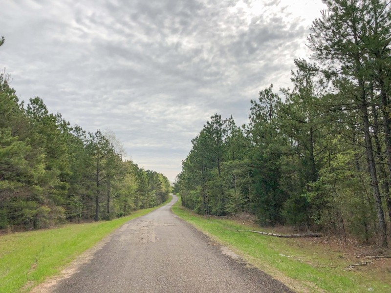 12.7 Acres  CR 4114 &nbsp; Tract 1011 featured image