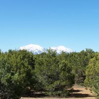 52 Silver Spurs Ranch images 6
