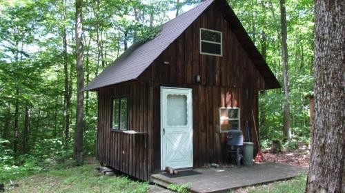 19 acres Hunting Land with Camp in Virgil NY featured image