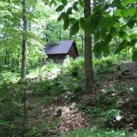 19 acres Hunting Land with Camp in Virgil NY images 2