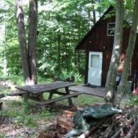 19 acres Hunting Land with Camp in Virgil NY images 5