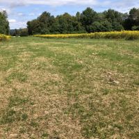 106 acs Hunting Recreational Land Amity NY