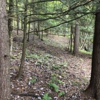 106 acs Hunting Recreational Land Amity NY images 2