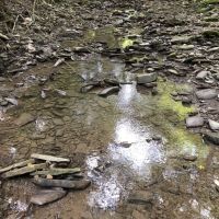 106 acs Hunting Recreational Land Amity NY images 5