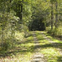 24-049-lapine-highway-tract images 4