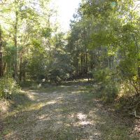 24-049-lapine-highway-tract images 5