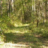 24-049-lapine-highway-tract images 6