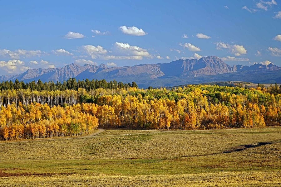 Elk Island Ranch featured image
